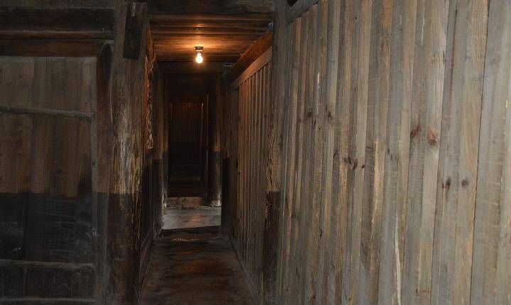 小萝卜头母亲双手被特务打坏,摸黑缝枕套助难友越狱