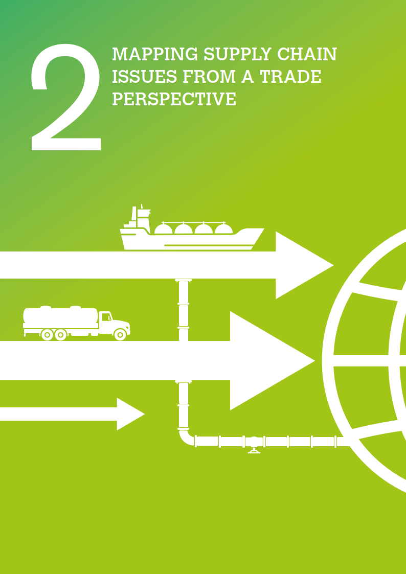 支持全球向低碳经济过渡报告(英文版)(附下载)_世界贸易组织_能源