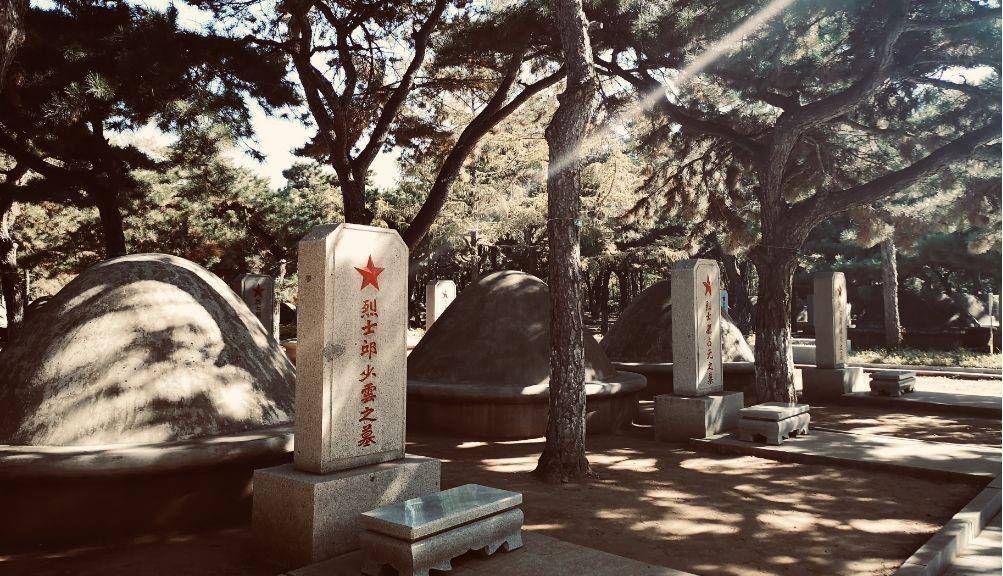 从"后进战士"到惊世英雄,邱少云的英雄事迹差点被历史湮没_敌军_高地