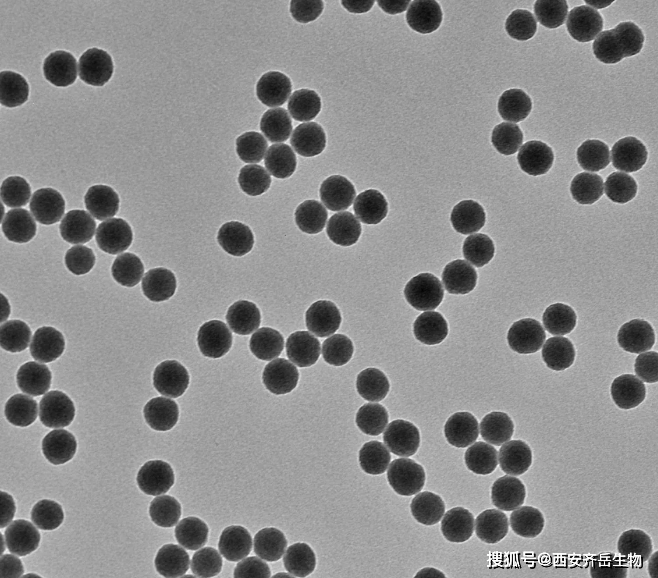 fe修饰的介孔sio2(fe-sio2)复合材料 定制合成_纳米_二氧化硅_领域