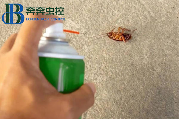 蟑螂怎么消灭干净彻底?上海虫控公司来告诉你!_防治_服务_危害