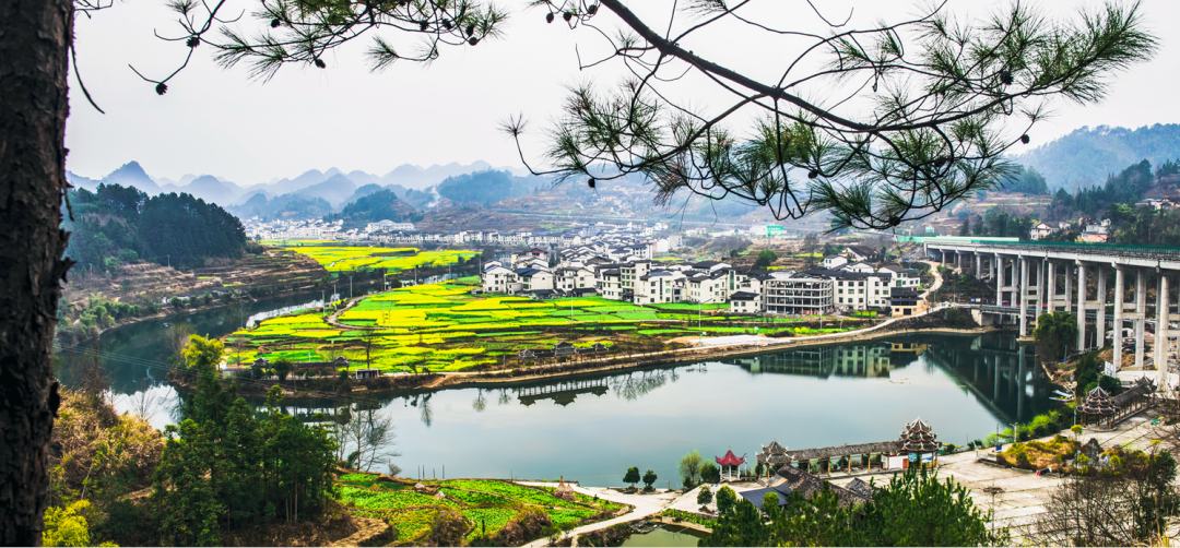 联山湾乡村旅游区图片