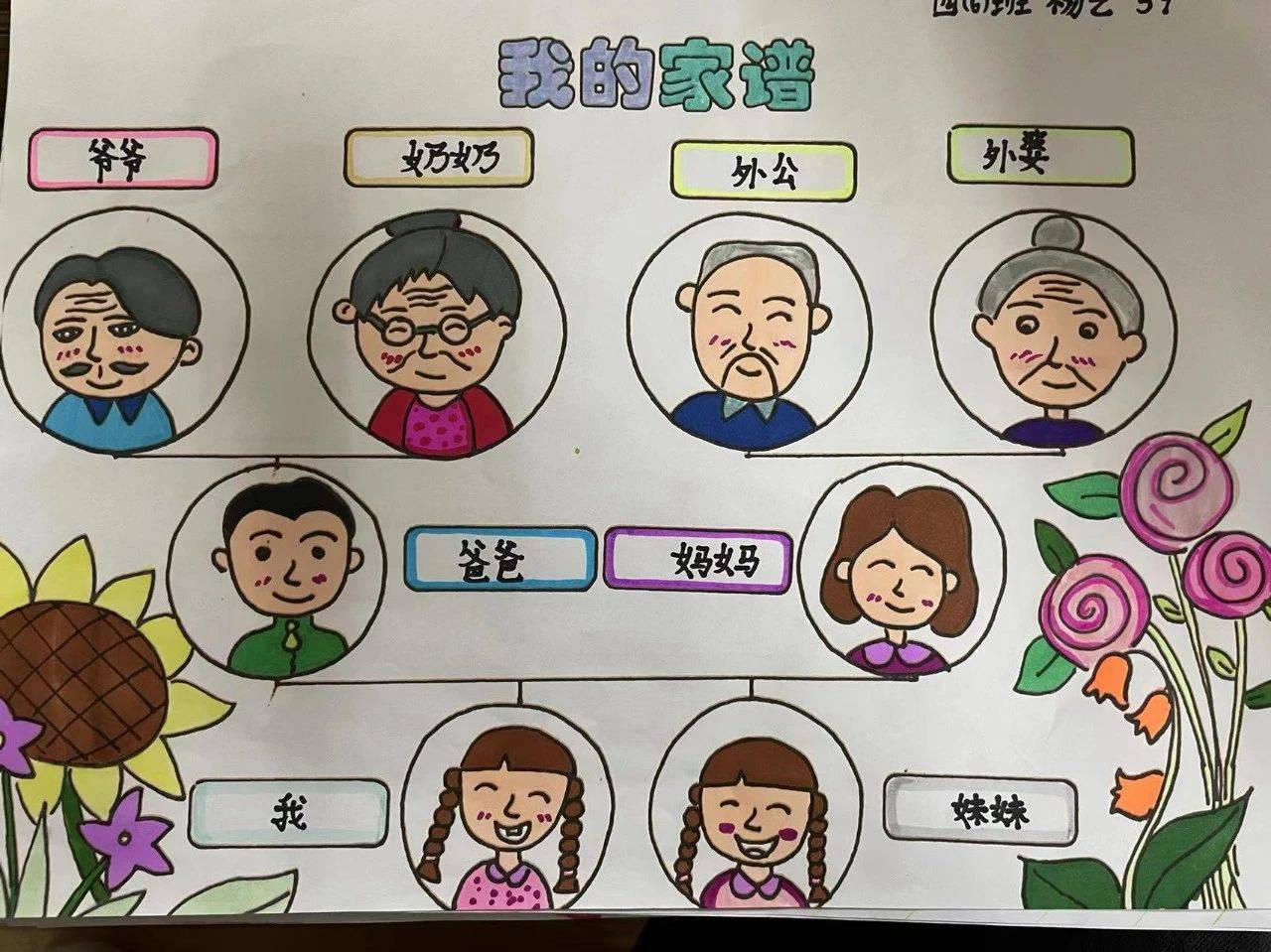 小学生家谱图简笔画图片