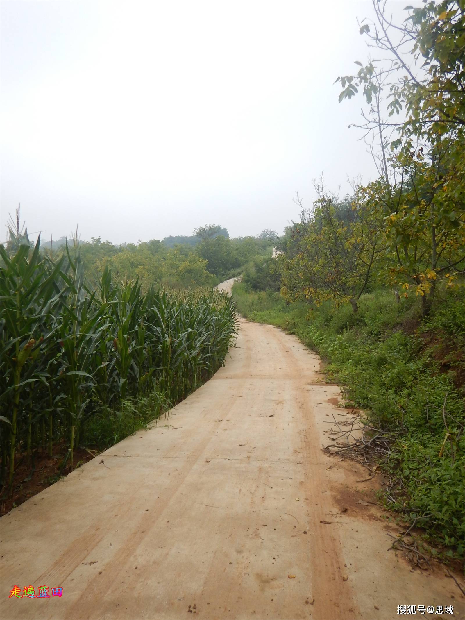 走遍蓝田,2022厚镇(水洼村)穿越旅行4._工作_天气_婚礼