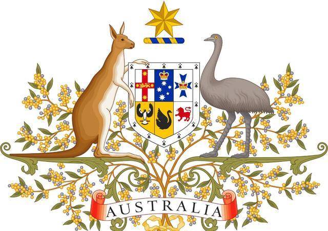 事后,鸟类学家多米尼克讽刺性地评价此次行动,他说"射击手们向大量