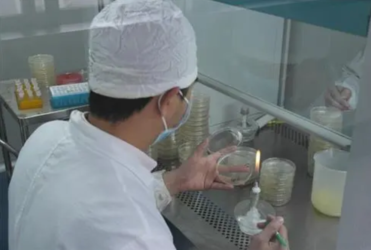 高级化妆品检验员证书申报微生物检验员培训地址在哪里-细菌数量的测定方法