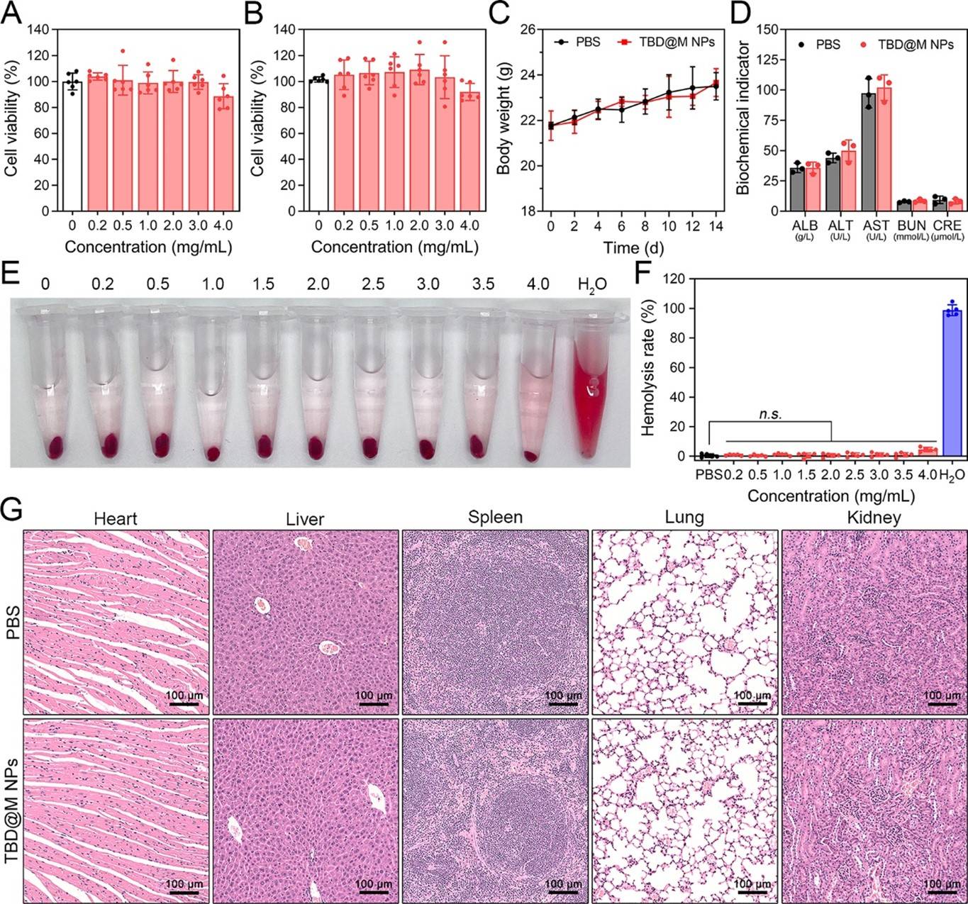 聚集诱导发射的巨噬细胞样纳米颗粒用于猴痘的靶向光