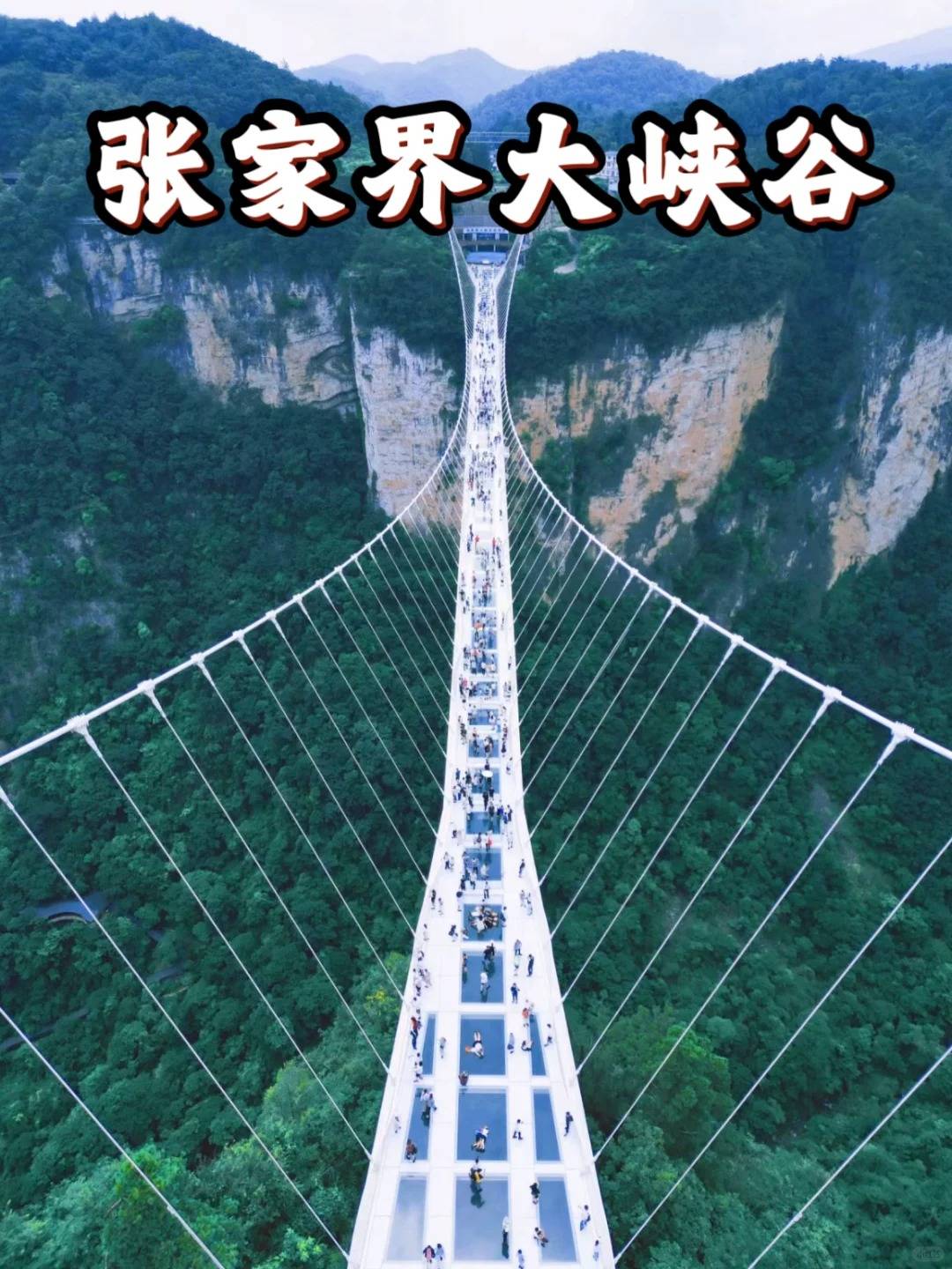 118,学生票7092建议游玩时间1天热门打卡点玻璃桥大峡谷景区门票