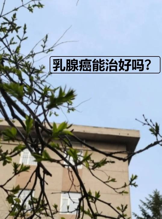 乳腺癌能治好吗,乳腺癌化疗期间吃什么补充营养好?