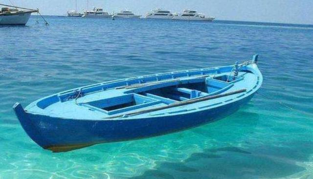 马尾藻_海域_海水