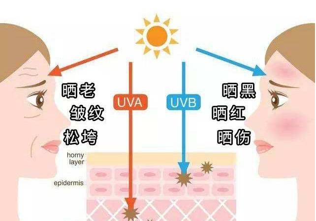 光电美肤危害图片