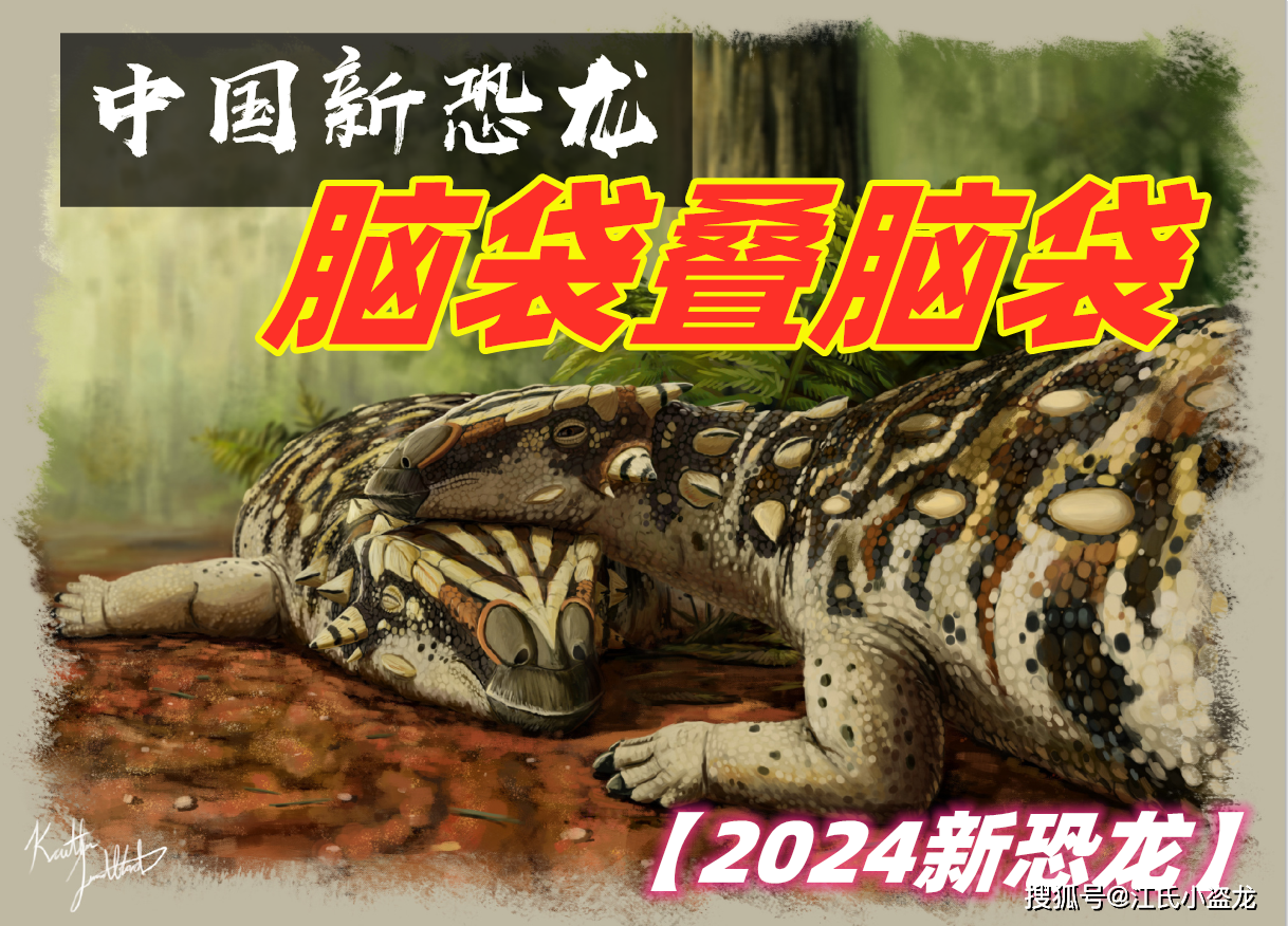 化石_龙的_来自