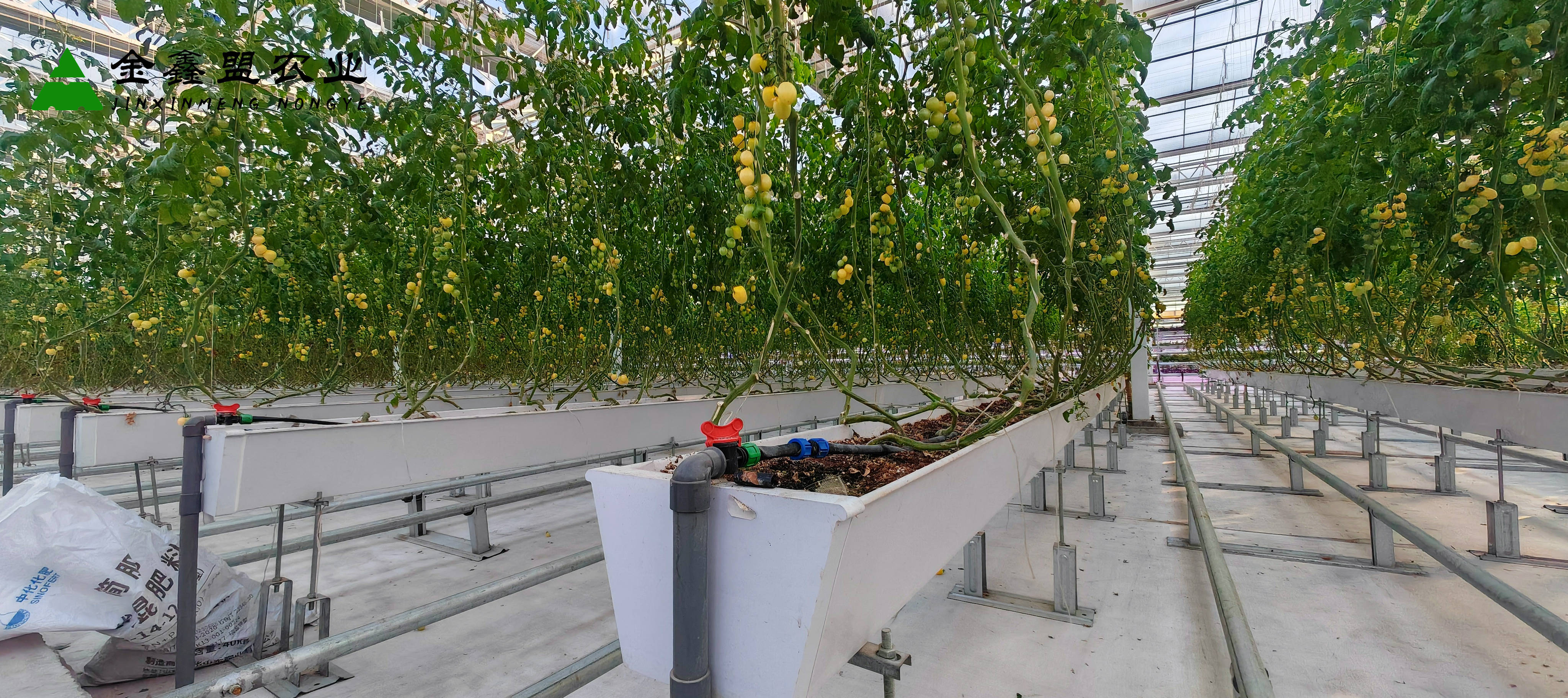 智能玻璃温室大棚的定义,优势,关键技术以及未来发展趋势探讨