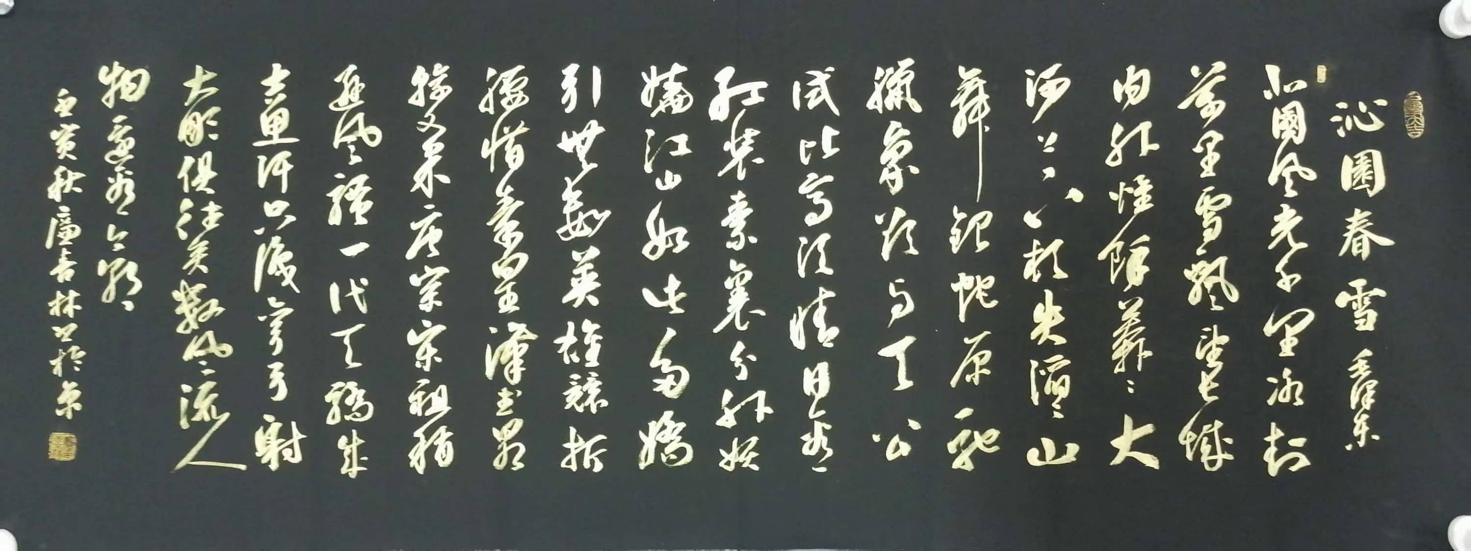 【中央电视台】cctv《艺术名家》栏目特聘艺术顾问——廉喜林_书法