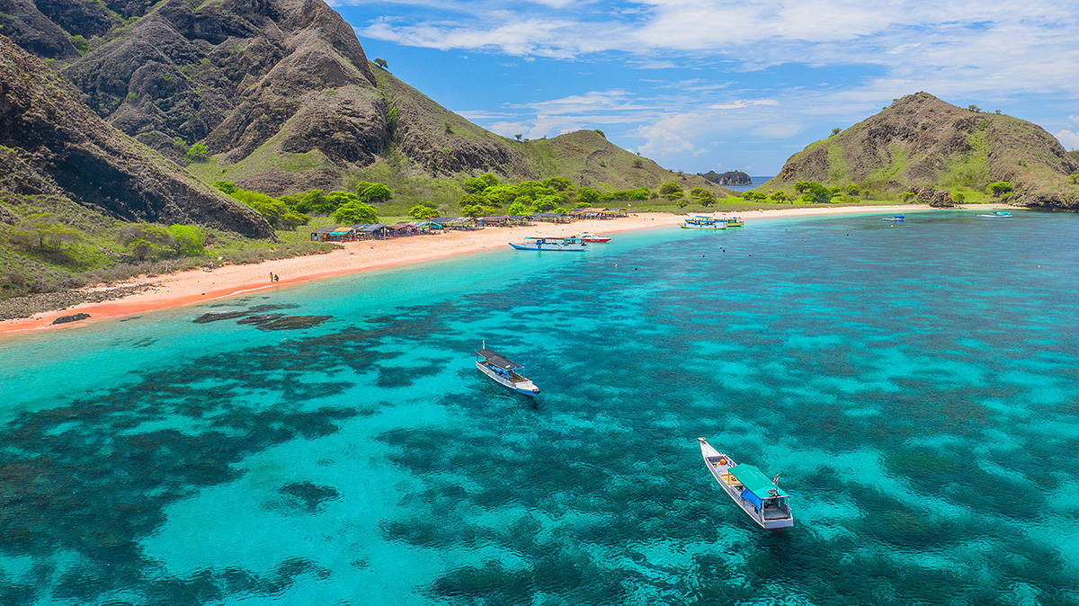 印尼科莫多粉红沙滩,共有三处之多,这里粉砂并不全是红珊瑚形成_beach