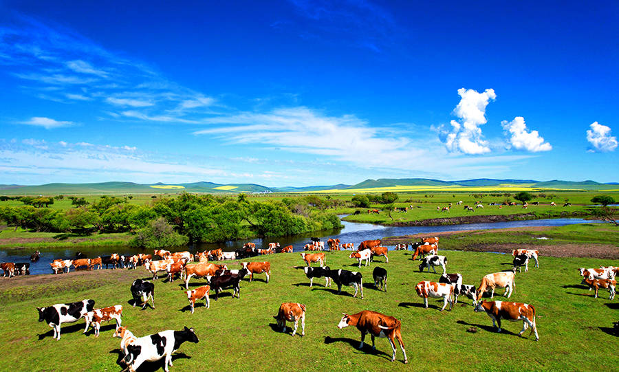 摄影资讯呼伦贝尔青年摄影推荐