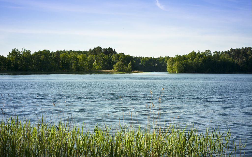 春日湖景图鉴,蕴藏美好湖居生活哲学_湖畔_凤依_自然