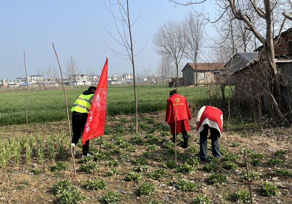 禁毒踏查不漏一处不放一株不留死角太和县倪邱镇马厂村开展禁毒踏查
