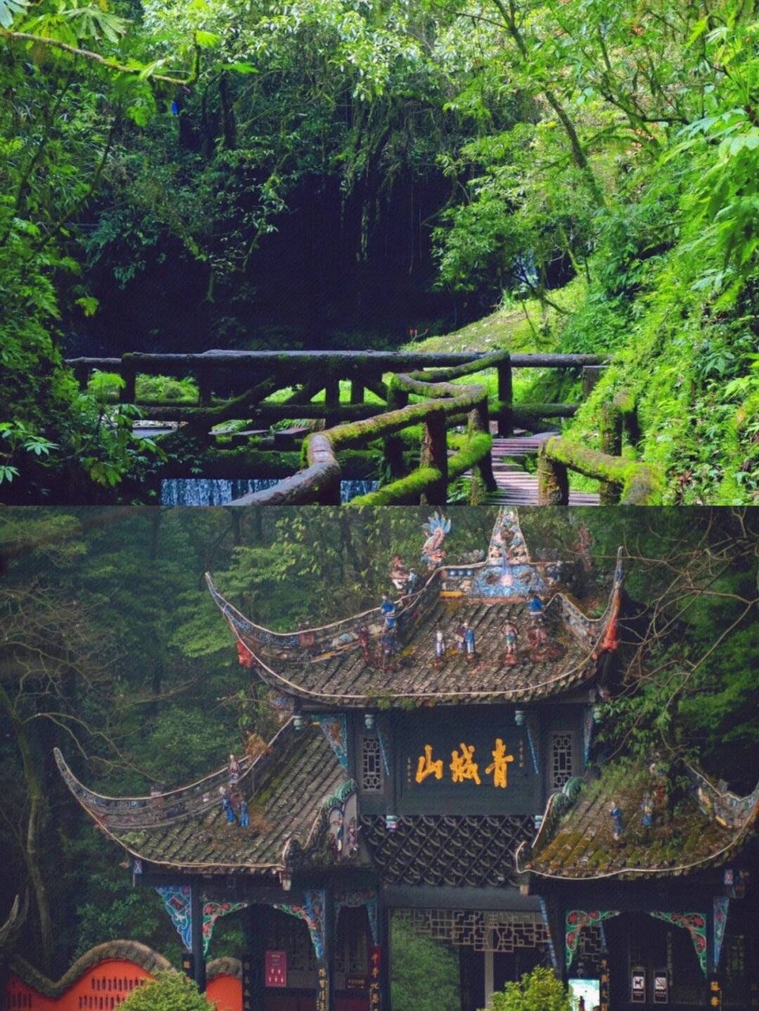 四川乐山旅游要怎么玩有什么路线推荐5天人均1000预算够吗