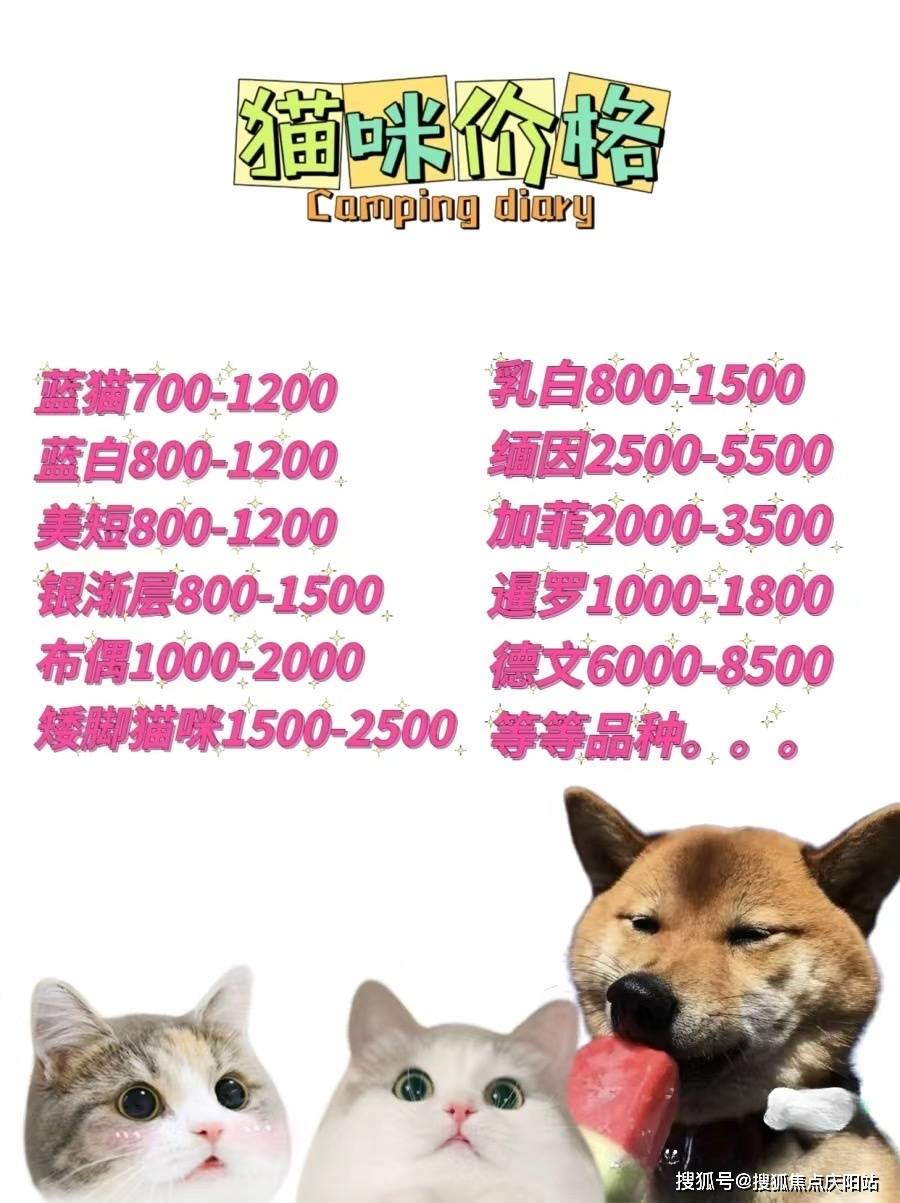 巴哥,法斗,金毛,拉布拉多,阿拉斯加,萨摩耶,哈士奇,雪纳瑞,边境牧羊犬