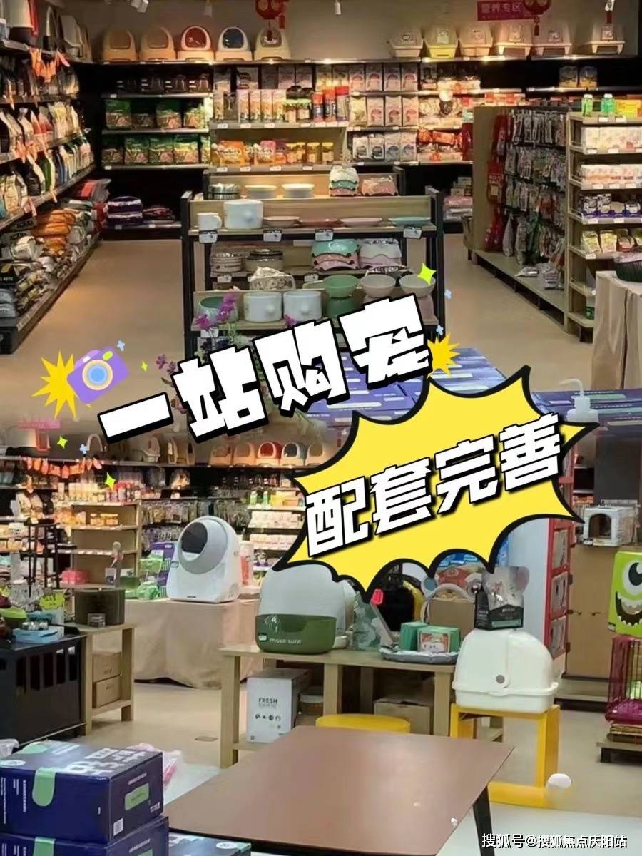 杭州比熊犬多少钱一只杭州买比熊这里安全可靠可实体店挑选宠物