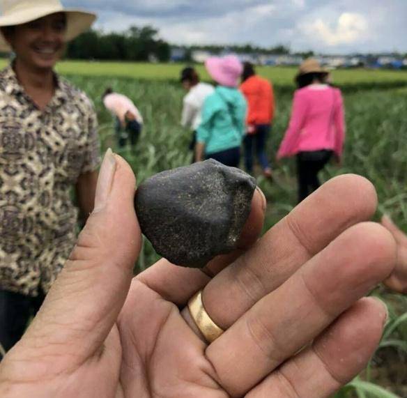 原创西双版纳下石头雨村民捡一块竟比黄金还贵专家却这么说