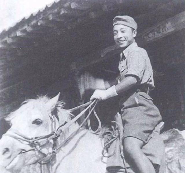 原创陈布文为丈夫退居当家庭主妇风雨共苦50年却在晚年遭到背叛