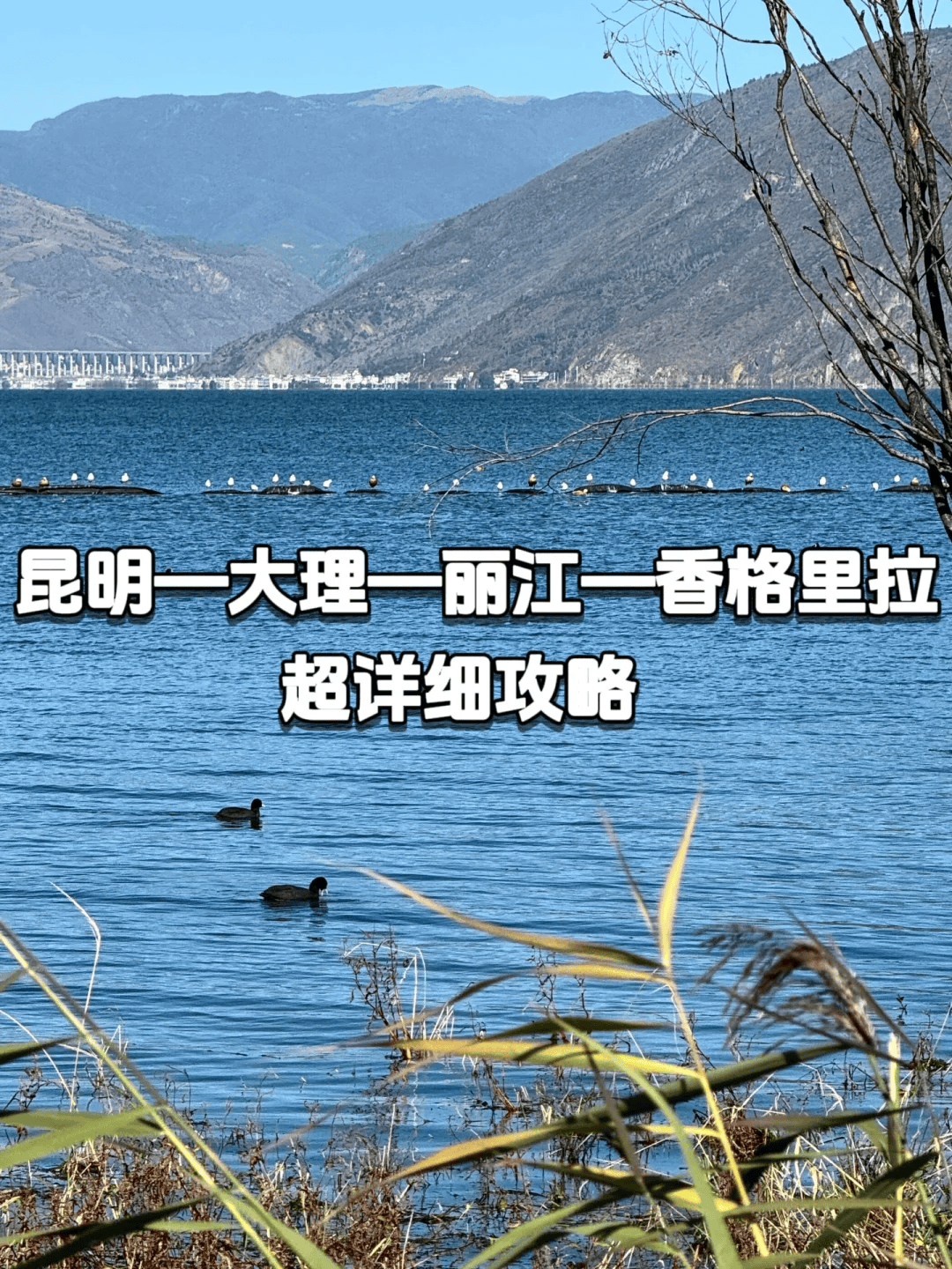 详细游玩介绍游玩路线第1【昆明】推荐住昆明站附近滇池海埂公园