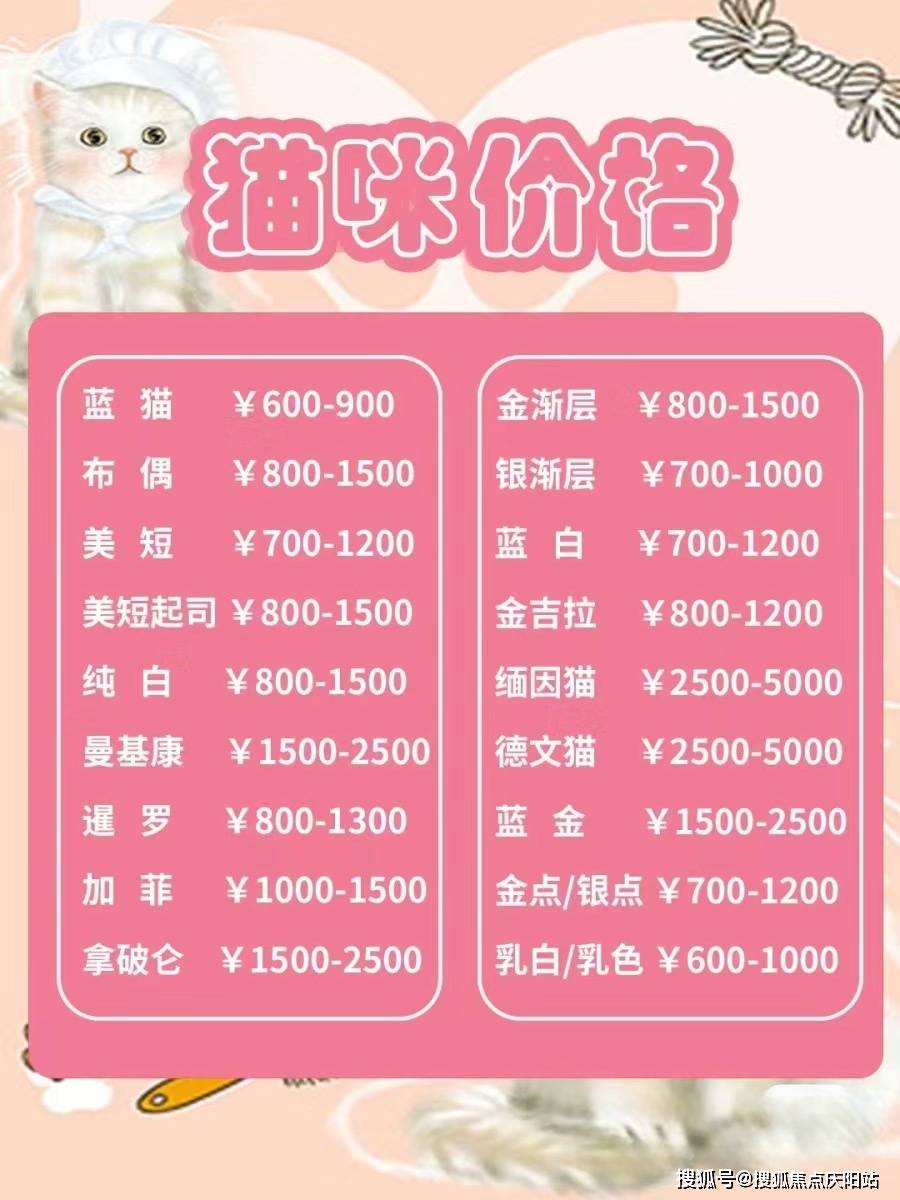 北京哪里有卖拉不拉多幼犬的地方北京买拉不拉多幼