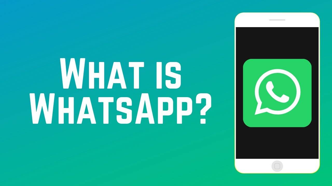 whatsapp注册检查软件推荐