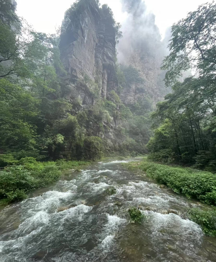 湖南张家界金鞭溪旅游景点我愿称金鞭溪为绿光森林