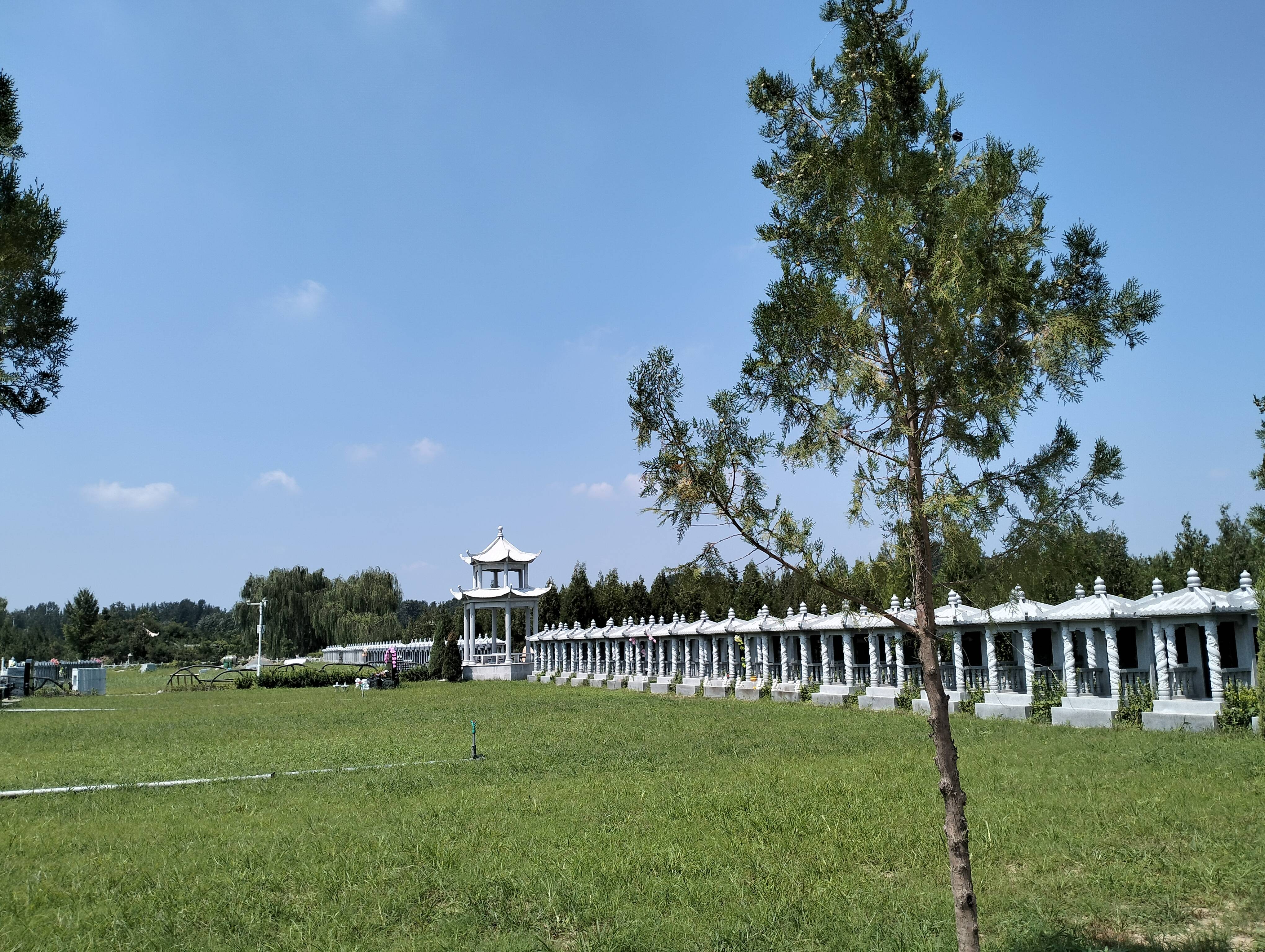 环湖生态陵园善待生命敬畏自然