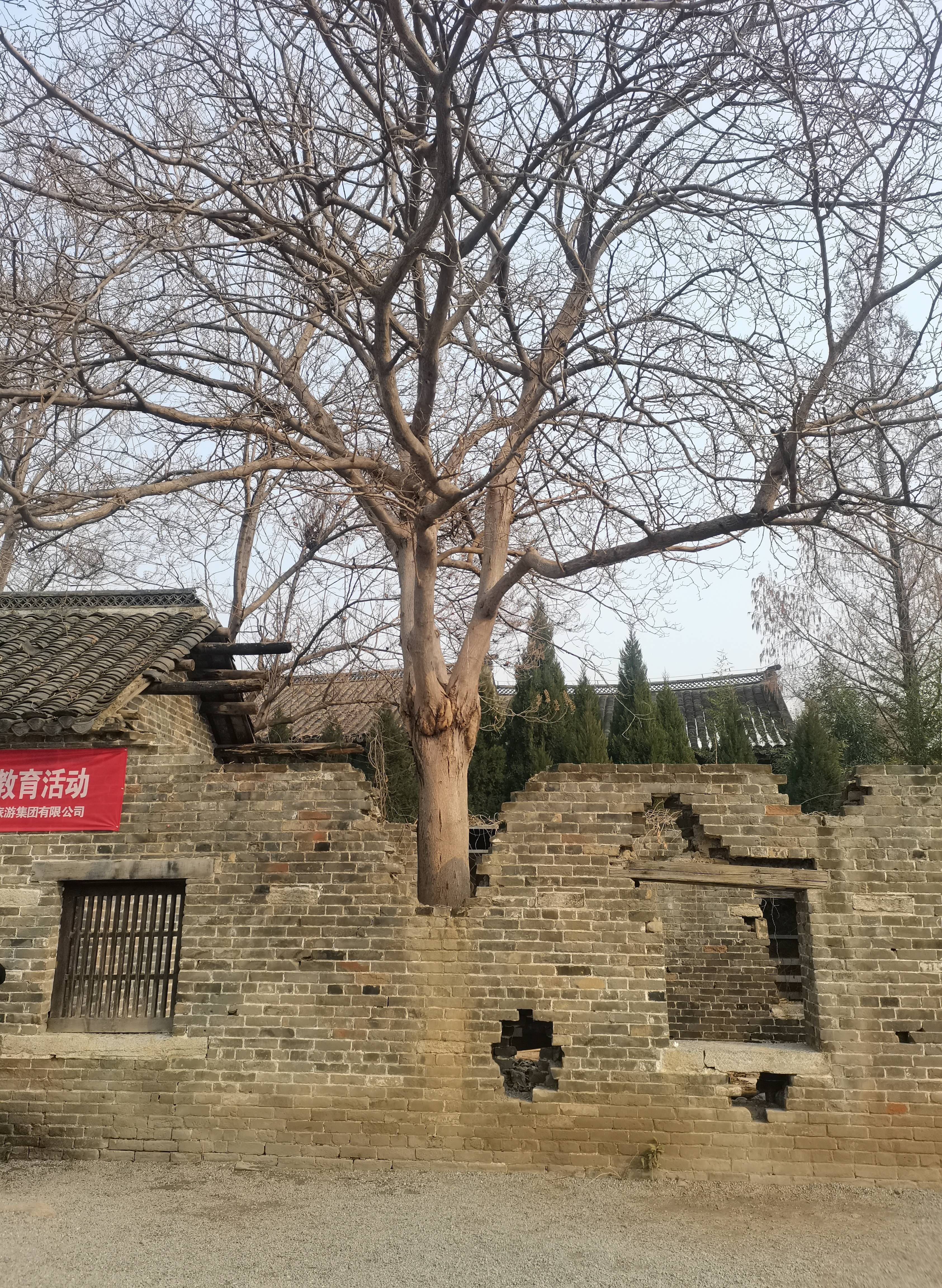 游台儿庄记_日军_中国_徐州