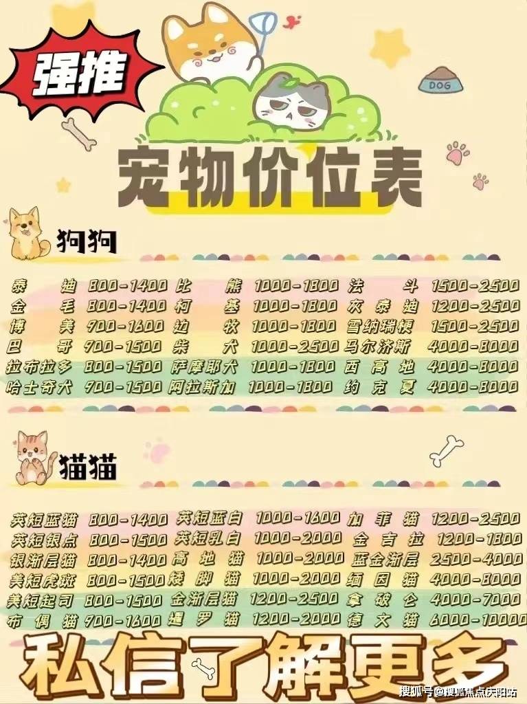 的泰迪,比熊,还是温顺乖巧的金毛,拉布拉多,甚至是稀有的德国牧羊犬