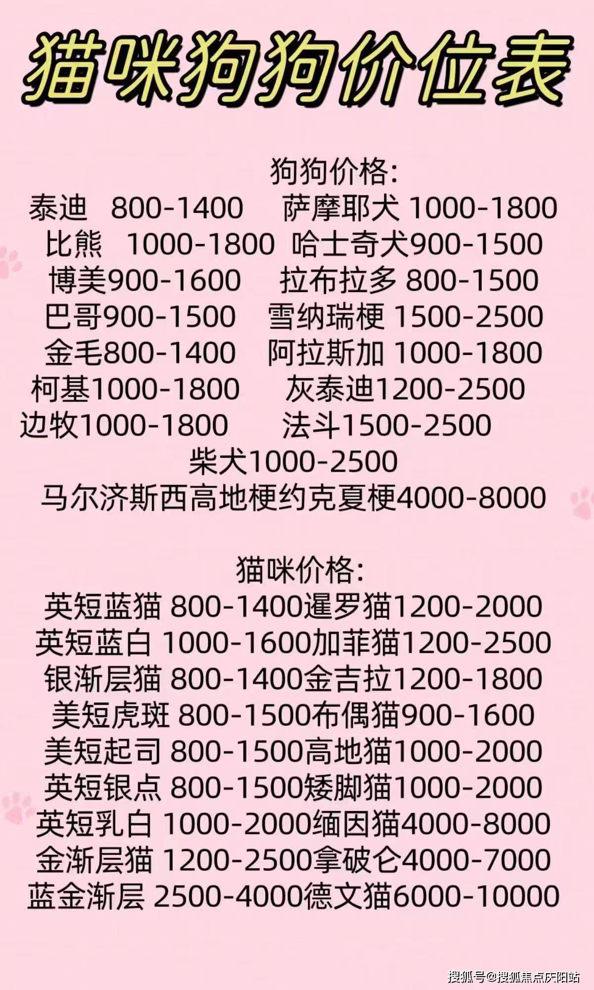 拿破仑猫的优雅,德文卷毛猫的灵动,缅因猫的威武……每一只猫咪都散发