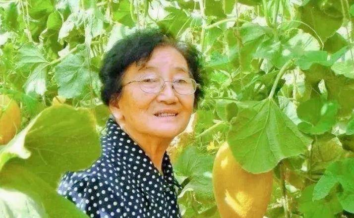 原创西部瓜王吴明珠和袁隆平是同学奋战62年让国人实现吃瓜自由