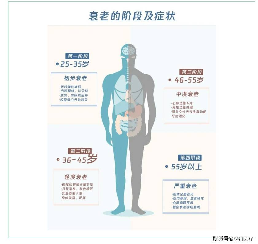 人的衰老过程图解图片