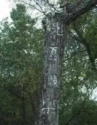 她是许晓轩烈士的夫人,分离40年后再聚首,场面令人泪奔_白公馆_敌人