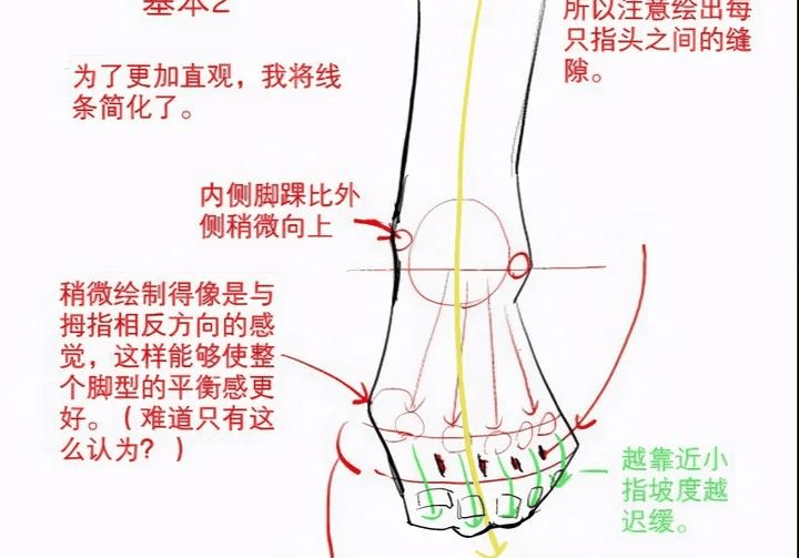成都清彩教育新手如何练习画腿脚动漫人物腿脚画法步骤详解