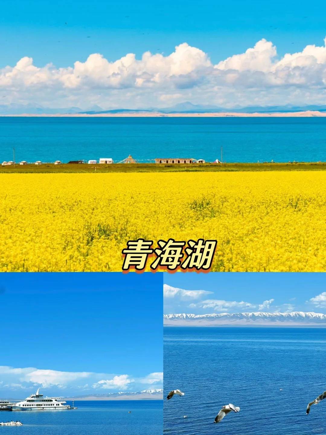 去大西北旅游的文案_【去大西北旅游的文案怎么写】