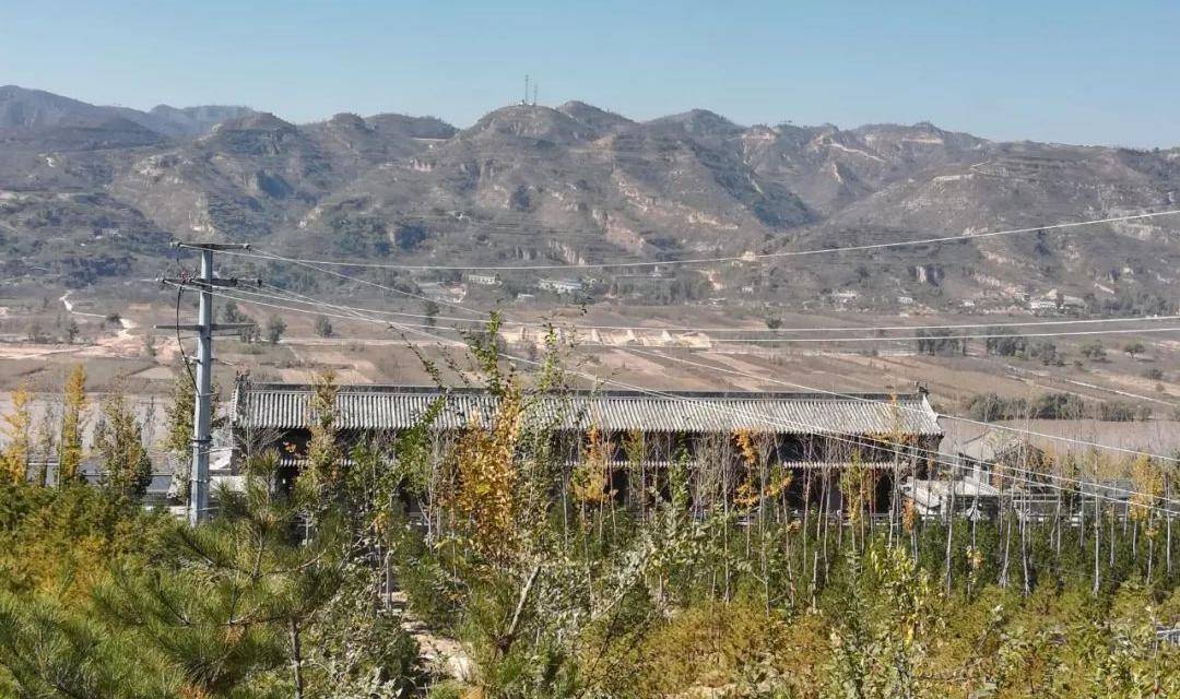 原创柳林首富陈鸿志为豪宅私改黄河河道打县委书记耳光结局如何