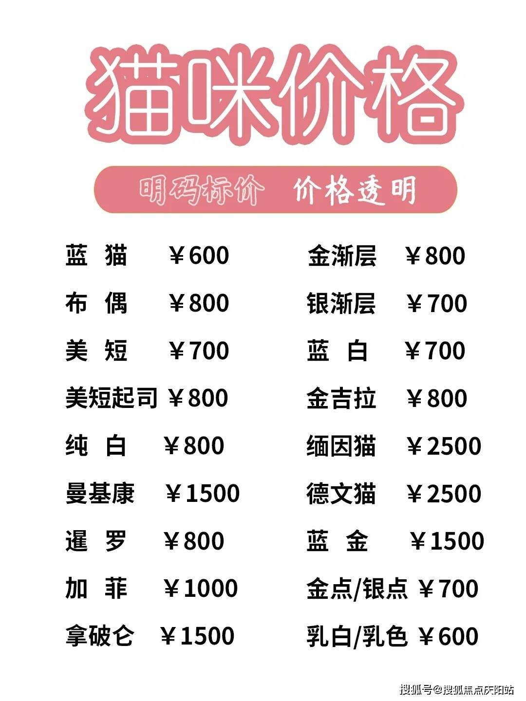 南昌买萨摩耶犬首页网站南昌萨摩耶犬什么价格丨南昌萨摩耶犬什么价格