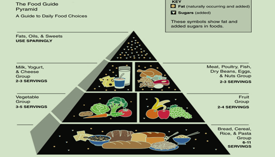 美国食物金字塔图片