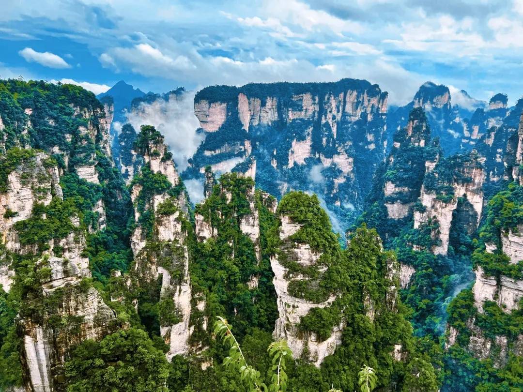 天门山张家界旅游_栈道_山顶_前往