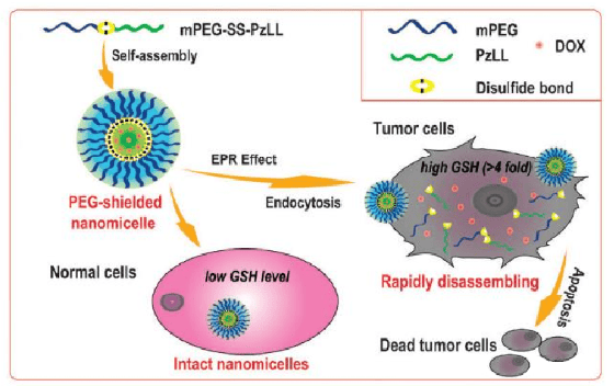 等纳米颗粒尺寸控制,合理的药物负载,主动靶向策略,表面修饰,缓释控释