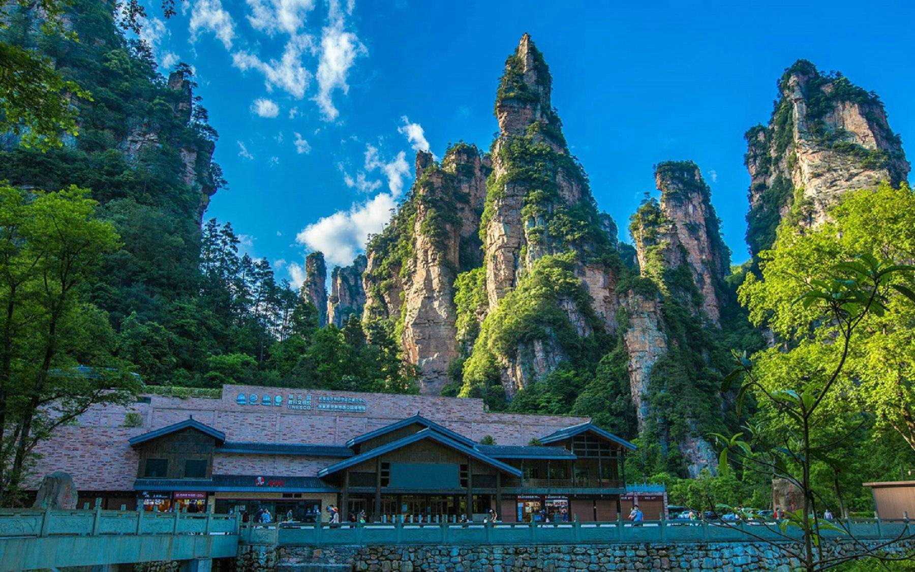 长沙张家界凤凰古城旅游大概需要多少钱