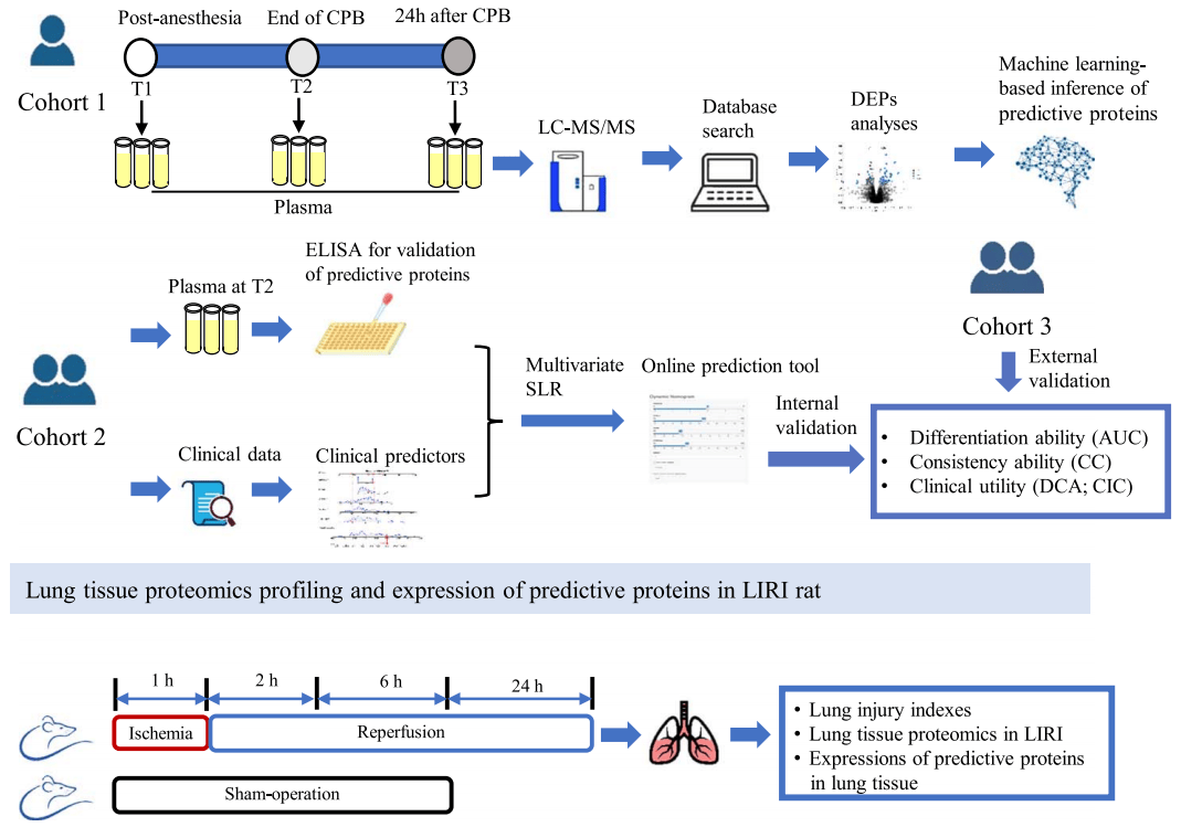 伯远医学astraldia技术实现筛选验证蛋白标志物一条龙服务