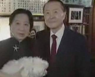 原创孔令仪宋孔家族最后的守望者一生远离政治两段婚姻却无子女