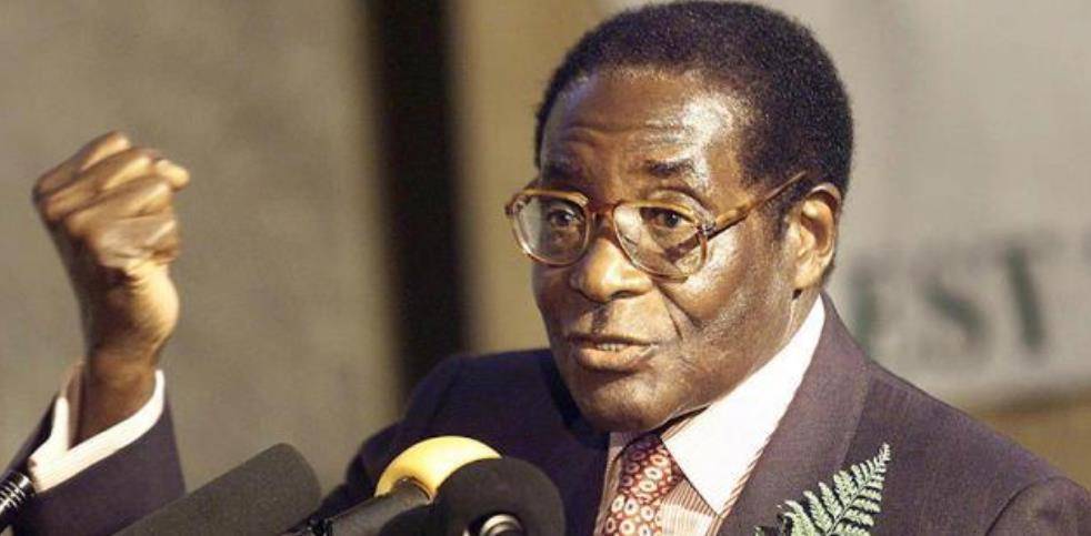 政府_白人_穆加贝