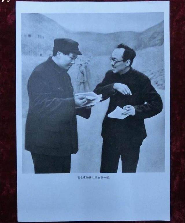 康生_王明_阵营